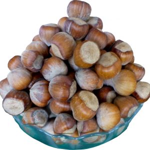 Hazelnuts In Shell