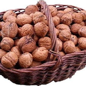 Walnuts in shells