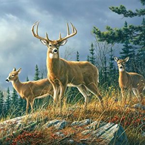 Photographic Wallpaper Waidmannsheil 366 x 254 CM